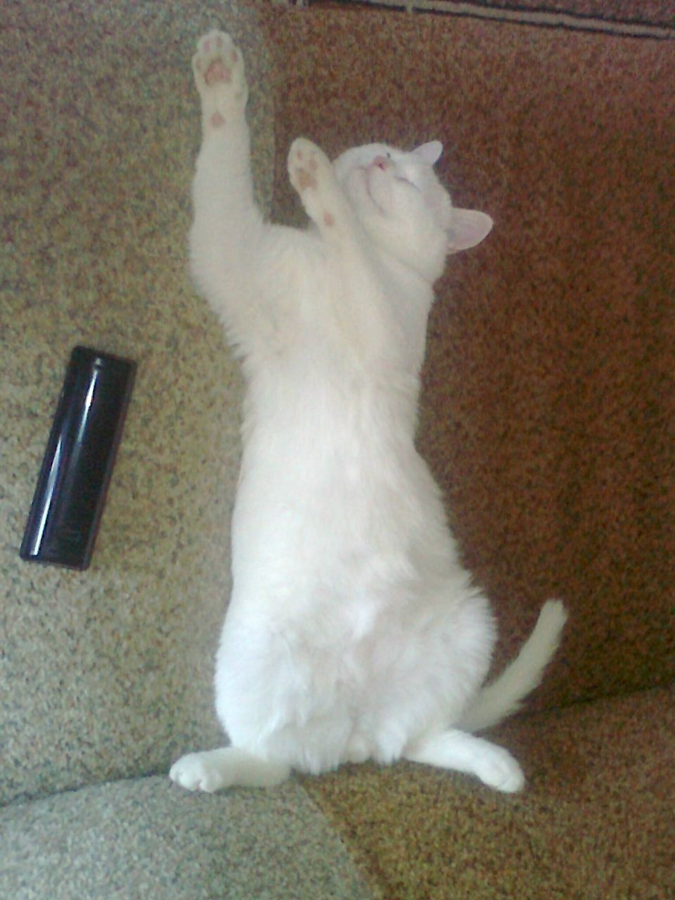 Алексей Михайлов | Казань