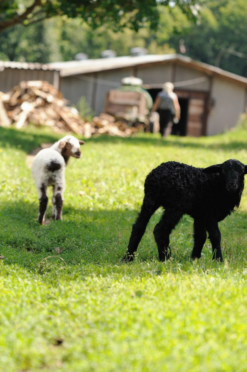 Екатерина Жукова | Котельники