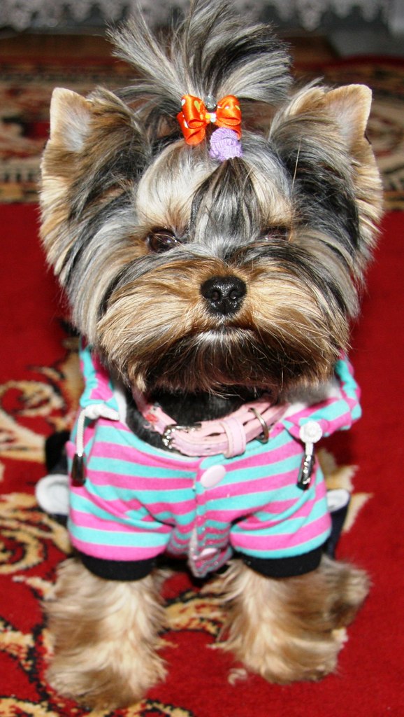 Елена Милавина | Санкт-Петербург