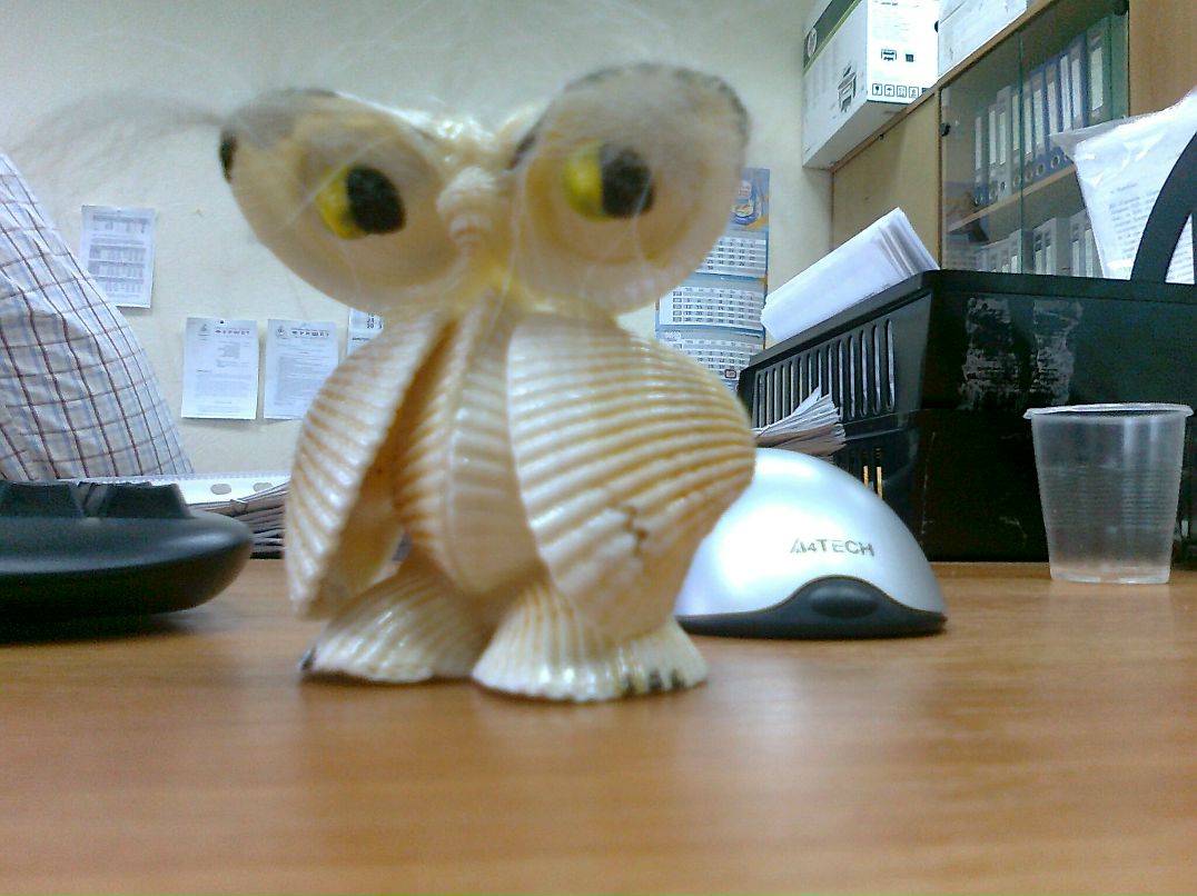 Maks Куцак | Киев