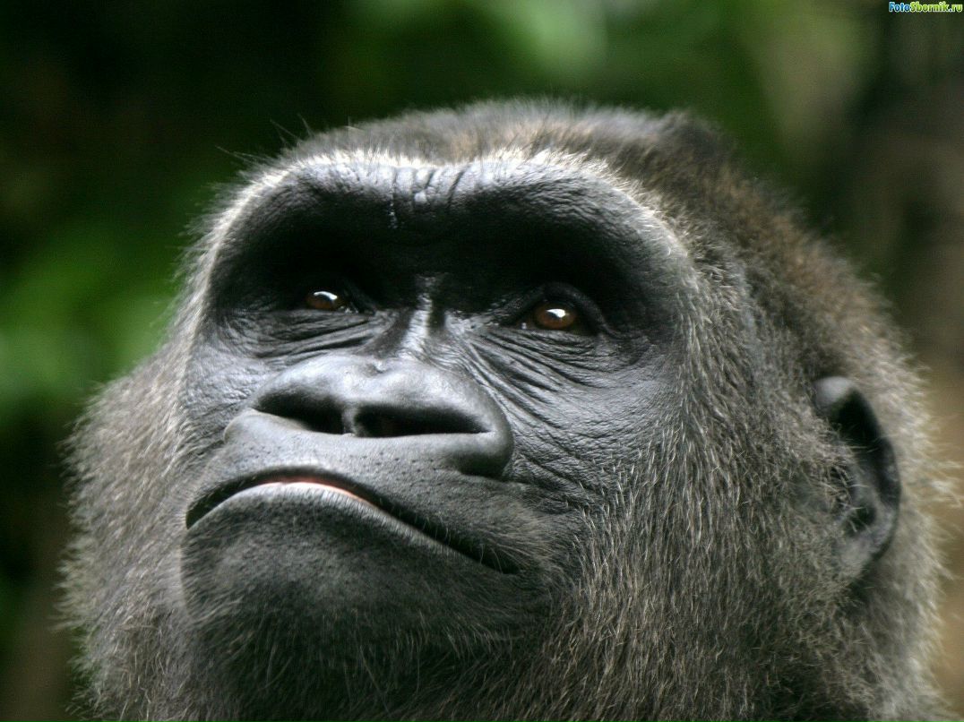 Никита Недоступ | Хайфа