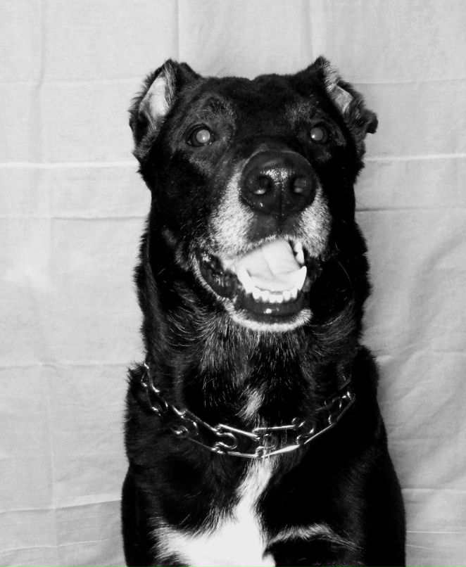 Анастасия Морозова | Москва