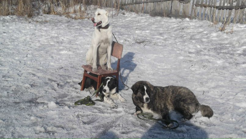 Надежда Дёмина | Новосибирск