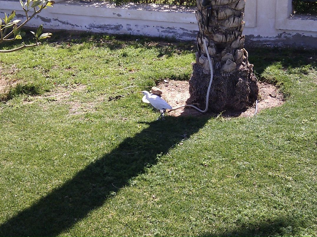 Ириша Петрова | Киев