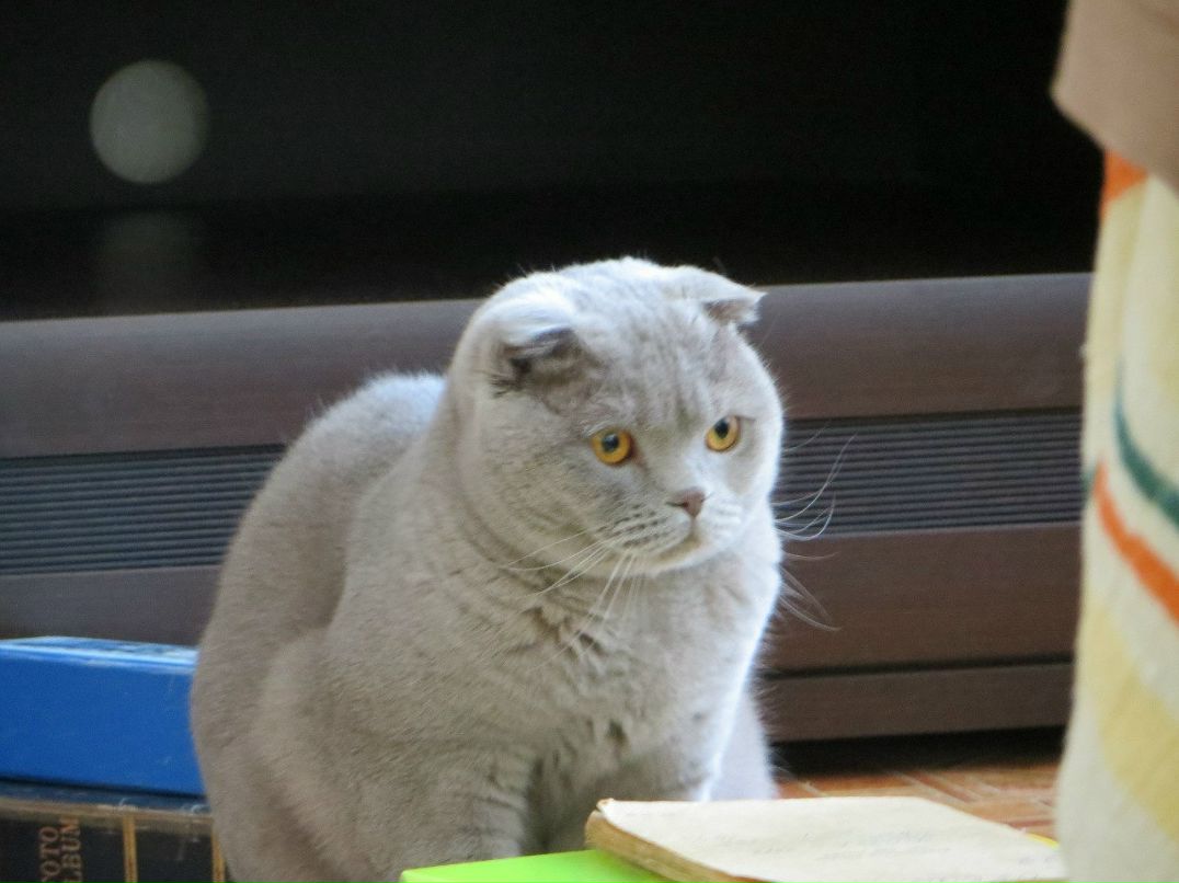 Ольга Рябикова | Санкт-Петербург