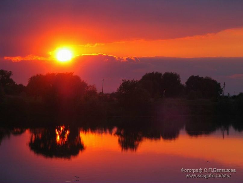 Екатерина Винник | Санкт-Петербург