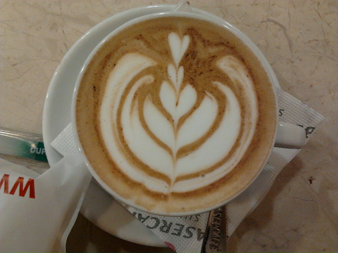 Дарья Заболотняя | Донецк