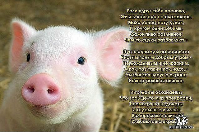 №59, Анастасия Селеменева, Анапа №59, Анастасия Селеменева, Анапа