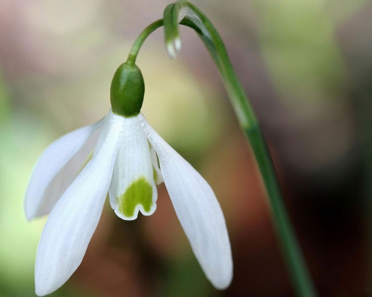 Ольга Байбак | Кременчуг