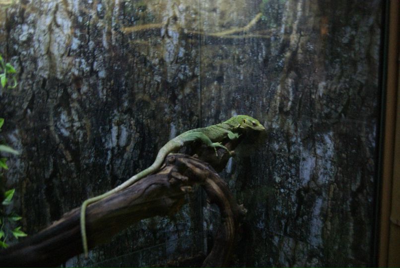 Ольга Борисова | Балаково