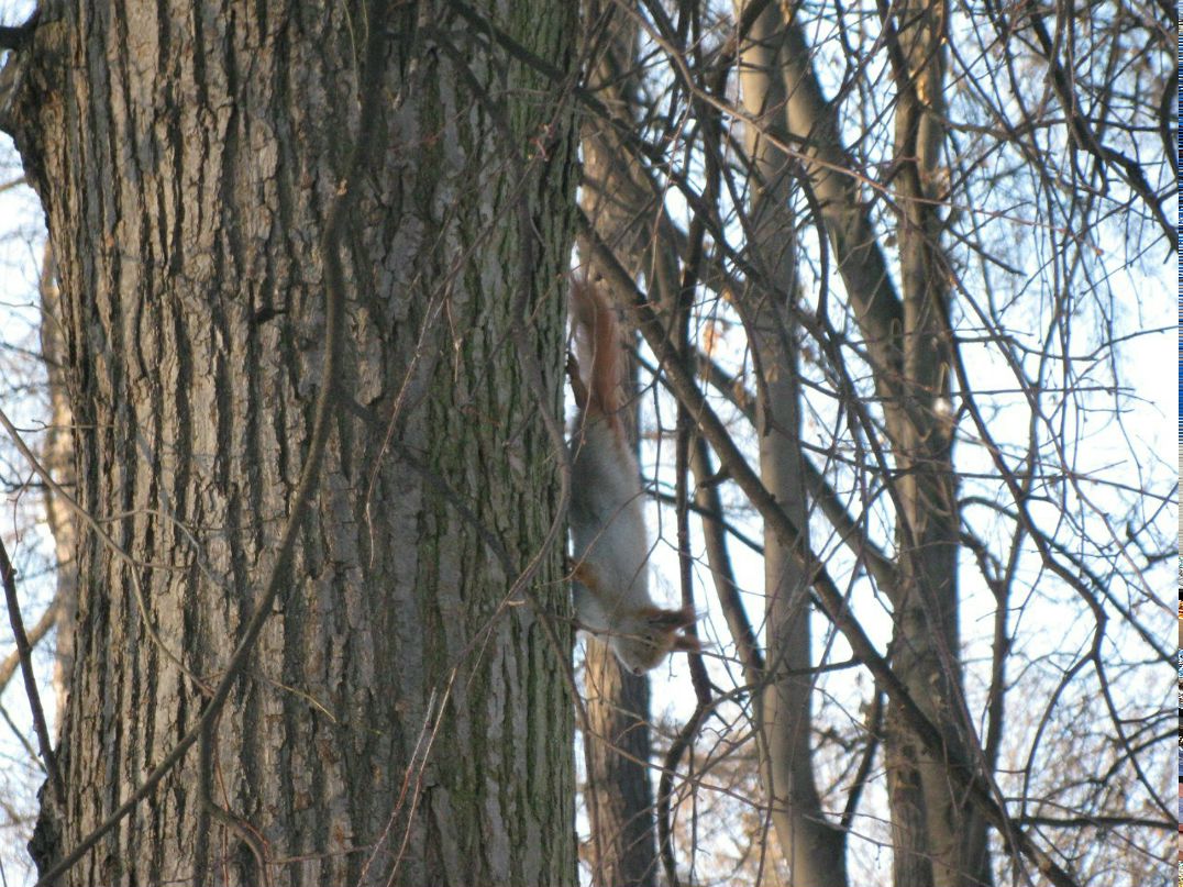 Макс Лукьяненко | Саратов