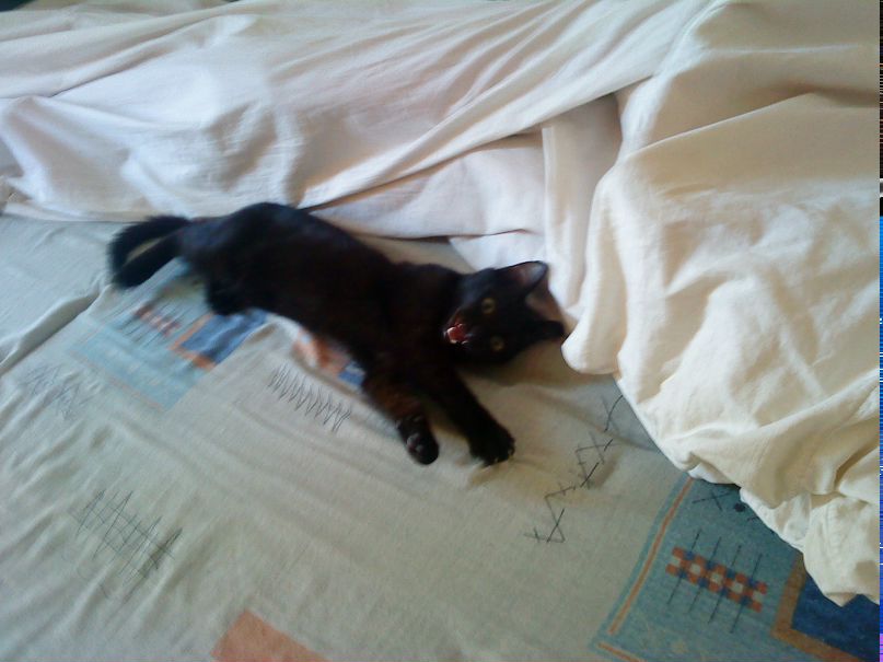 Алексей Короткий | Харьков