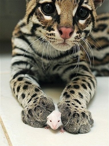 Наталья Морозова ♡ | Новосибирск