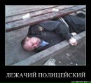 Фотография Алексей Лаптев