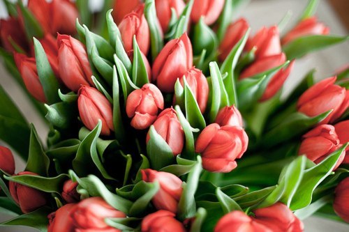 Анна Белякова | 