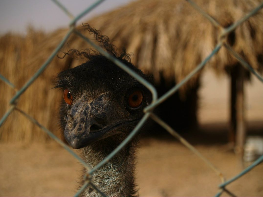 Stepan Poltavets ~Ðoć~ | Ярославль