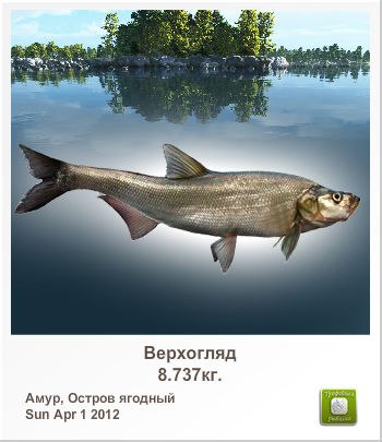 Алексей Сыромятников | Колпино