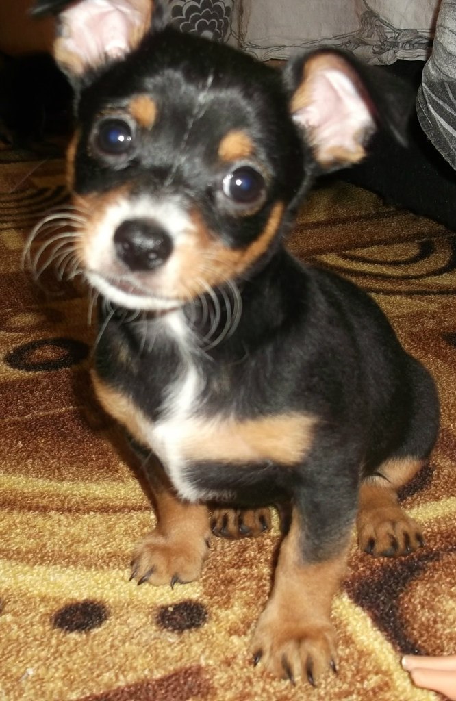 Лена Ηиколаева | Санкт-Петербург