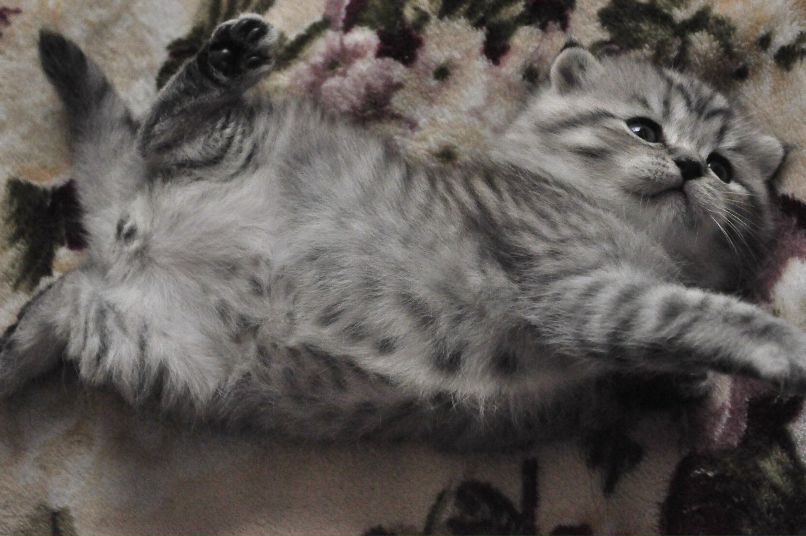 Мария Коновалова | Москва