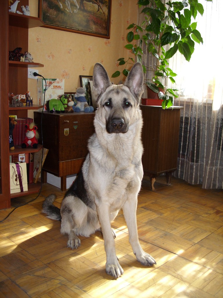 Марина Исакова | Санкт-Петербург