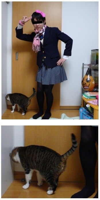 Михаил Беличенко | Краматорск