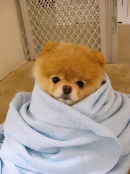 №76, Владислав Попов, 34 года, Москва №76, Владислав Попов, 34 года, Москва