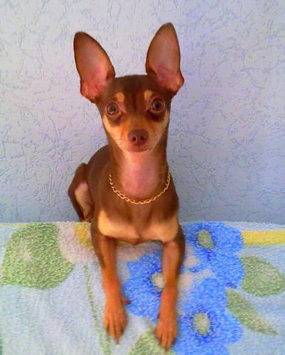 Зарина Губаева | Новосибирск