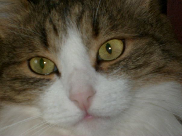 №18, Олег Волоснов, Ижевск №18, Олег Волоснов, Ижевск