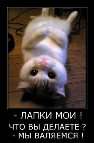 №142, Ирина Малина, 10.3 №142, Ирина Малина, 10.3