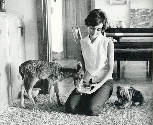 №86, Анжелика Туркова, Харьков №86, Анжелика Туркова, Харьков