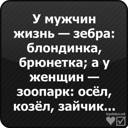 №5, Света Патрушева №5, Света Патрушева