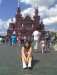 Ксения Белошапкина фотография #21