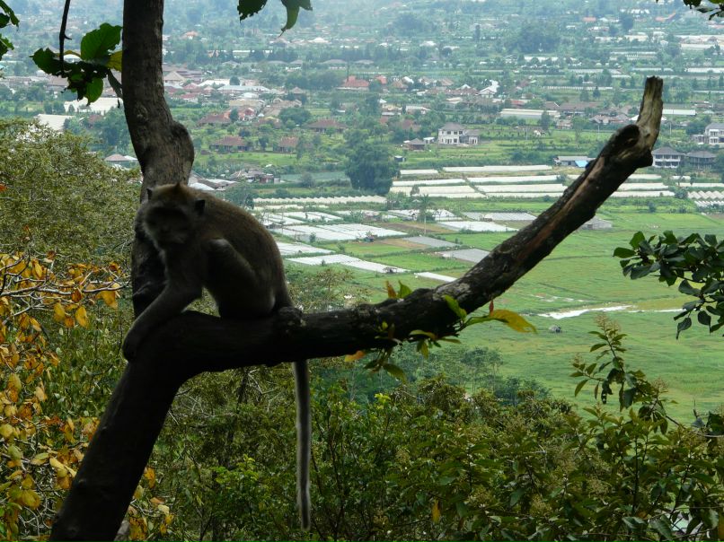 Восход Солнца | Санкт-Петербург