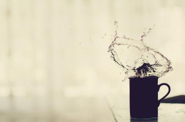 Дарья Шеховцова | Москва