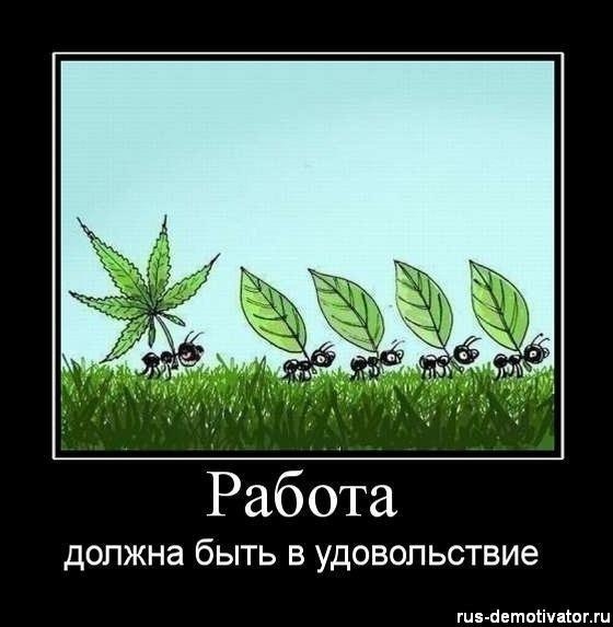 Владимир Иванов | Новосибирск