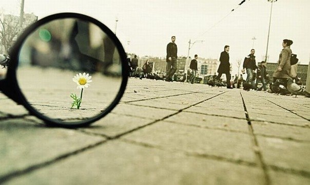 Анжелика Латышева | Херсон