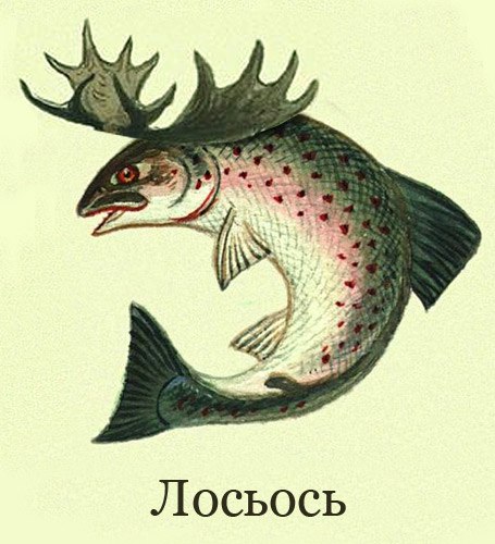 Петра Беляева | Харьков