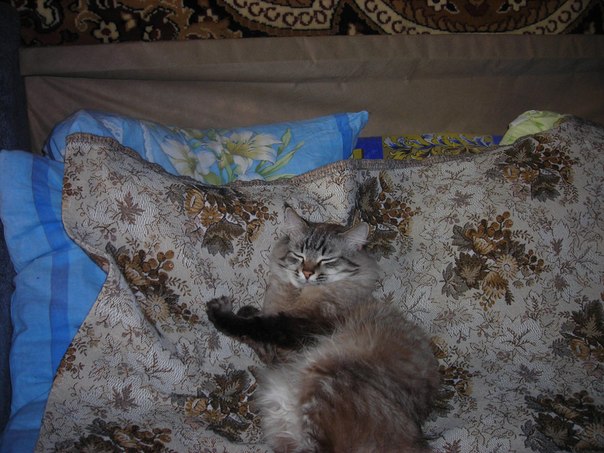 №59, Надежда Григорьева, 14.06.1954, Всеволожск №59, Надежда Григорьева, 14.06.1954, Всеволожск