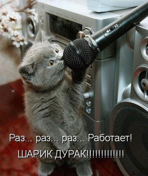 №173, Дарина Лазаренко, Чернигов №173, Дарина Лазаренко, Чернигов