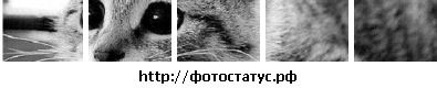 Фотография Роман Демидов