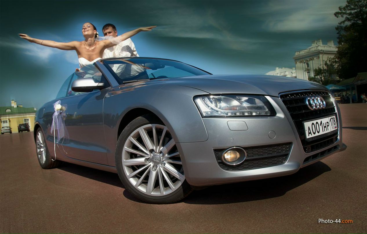 Владимир Гашнев | Санкт-Петербург