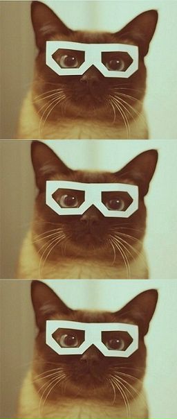 №22, Иван Дельвер, 34 года, Москва №22, Иван Дельвер, 34 года, Москва