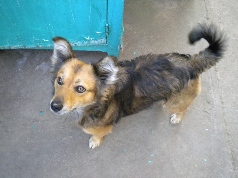 Александр Пенсионер | Херсон