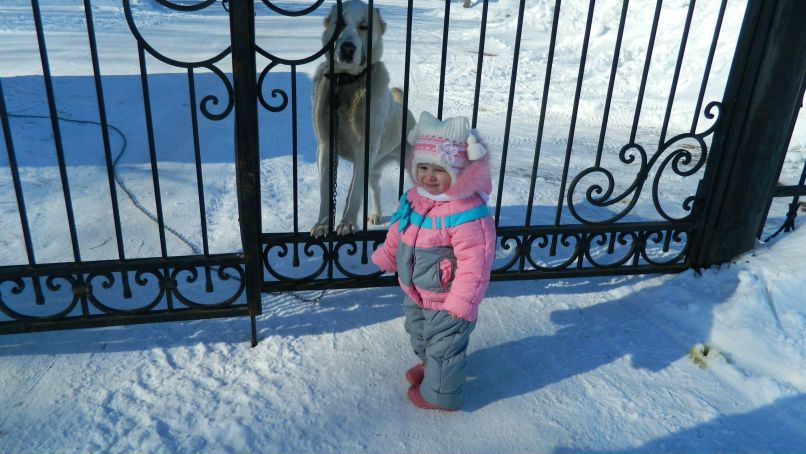 Руслан Граков | Смоленск