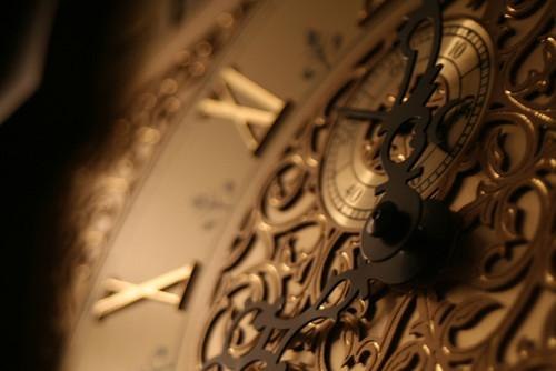 Ксения Шелюк | Bratislava