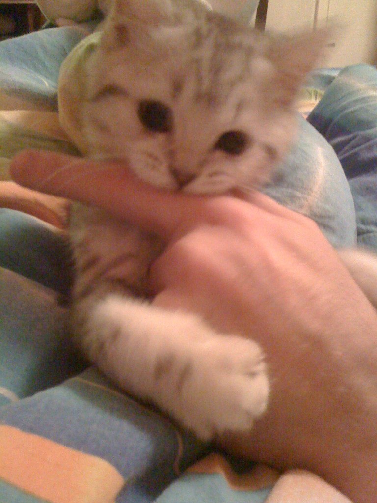 Аня Михайличенко | Москва