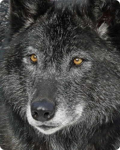 Сергей Потепалов | Новомосковск