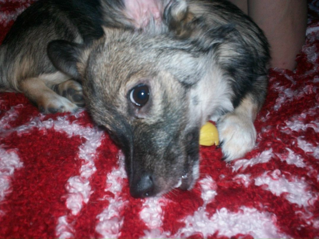 Ирина Скрыпина Сергеевна | Вуктыл