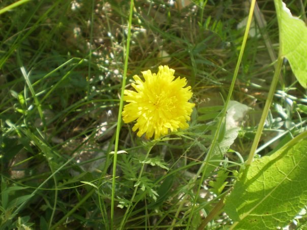 Рейхана Ахметова | Караганда