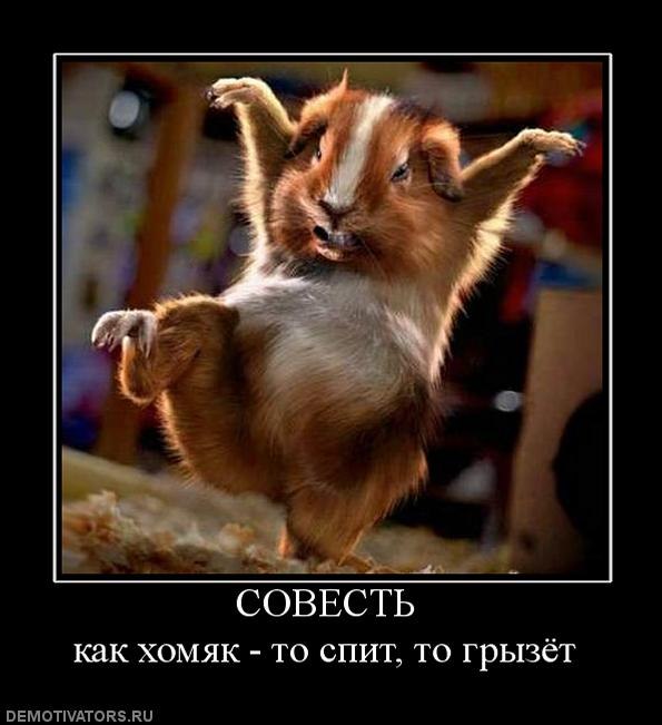 Владимир Кривизюк Locust | Сыктывкар